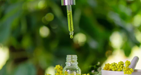 Flasche Mit Ätherischem Aus Stiefmütterchenextrakt Tinktur Das Konzept Der Aromatherapie — Stockfoto