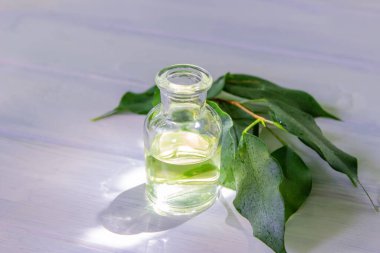 Küçük bir şişedeki bitkilerin temel yağı, doğa. Seçici odak