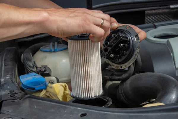 Technician Changes Car Filter Car Spare Part Car Service Concept — Stockfoto