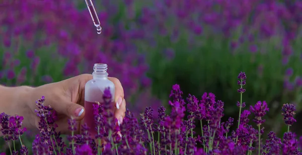 Bottle Lavender Essential Oil Wooden Table Field Flowers Background Selective — 图库照片