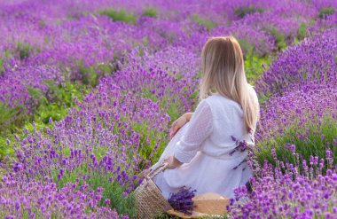Kız lavanta tarlasında dinleniyor. seçici odak