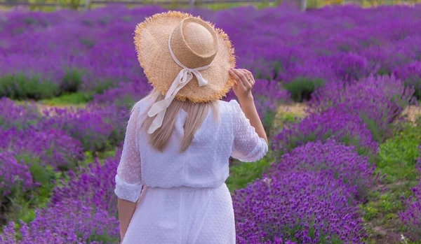 Girl Resting Lavender Field Selective Focus — 图库照片