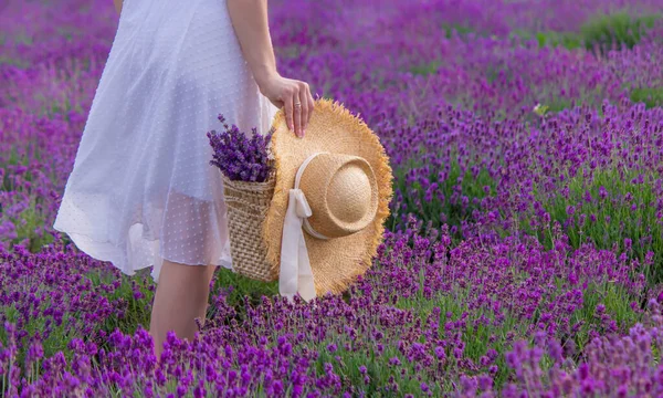Girl Resting Lavender Field Selective Focus — Foto Stock