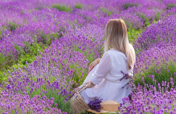 Kız lavanta tarlasında dinleniyor. seçici odak