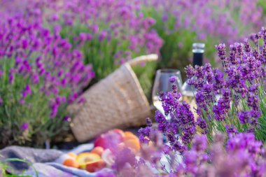 A bottle of wine on a background of a lavender field. Glasses with wine, fruits. selective focus