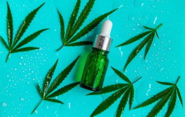 Cannabis oil natural on a wet background. Selective focus. Nature.