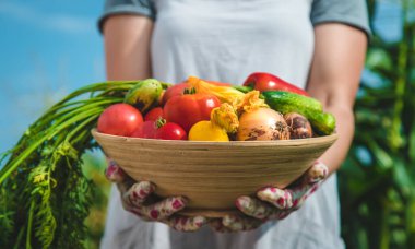 Farmer woman harvests vegetables in the garden. Selective focus. Food.