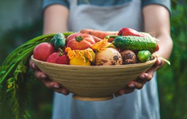 Farmer woman harvests vegetables in the garden. Selective focus. Food.