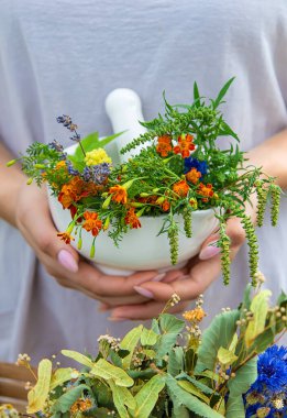 Woman with medicinal herbs and tinctures. Selective focus. Nature.