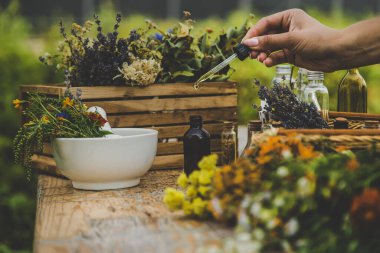 Medicinal herbs and natural tinctures. Selective focus. Nature.