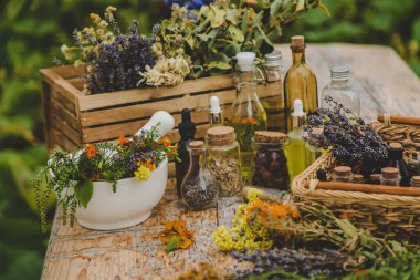Medicinal herbs and natural tinctures. Selective focus. Nature.