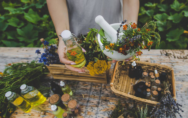 Medicinal herbs and natural tinctures. Selective focus. Nature.