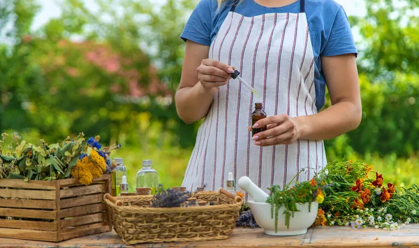 Woman with medicinal herbs and tinctures. Selective focus. Nature.
