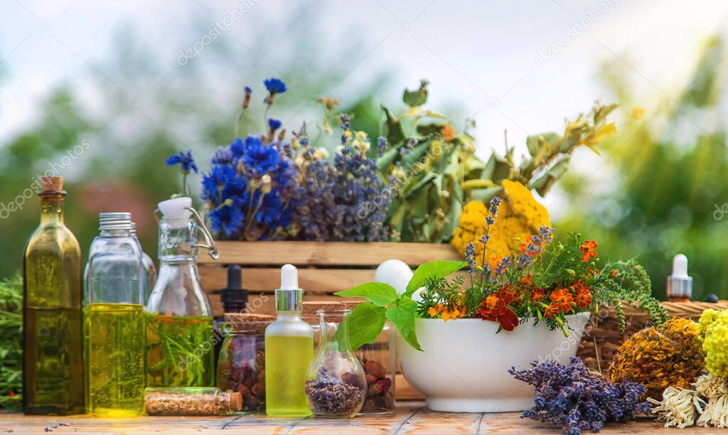 Medicinal herbs and natural tinctures. Selective focus. Nature.