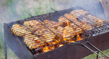 Izgarada tavuk şişi kızart. Doğada piknik. seçici odak