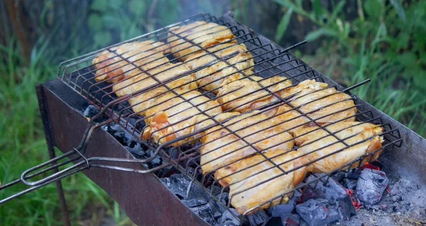 Fry Chicken Skewers Grill Picnic Nature Selective Focus — Stock Photo, Image