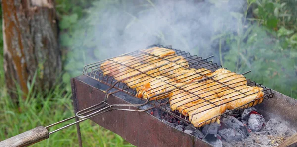 Friggere Spiedini Pollo Alla Griglia Picnic Nella Natura Focus Selettivo — Foto Stock