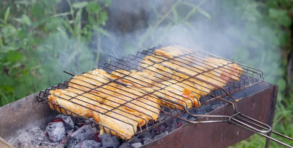 Espetinhos Frango Fritos Grelha Piquenique Natureza Foco Seletivo — Fotografia de Stock