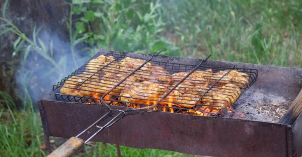 Friggere Spiedini Pollo Alla Griglia Picnic Nella Natura Focus Selettivo — Foto Stock