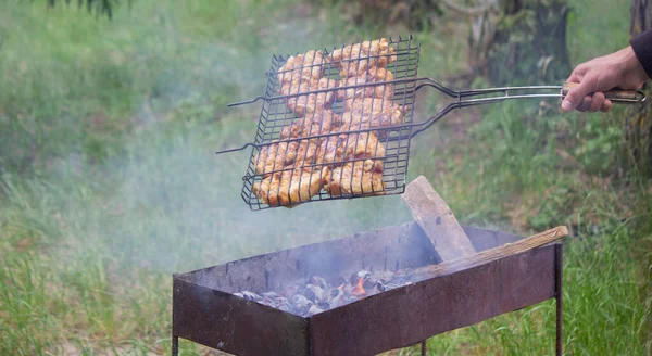 Izgarada Tavuk Şişi Kızart Doğada Piknik Seçici Odak — Stok fotoğraf