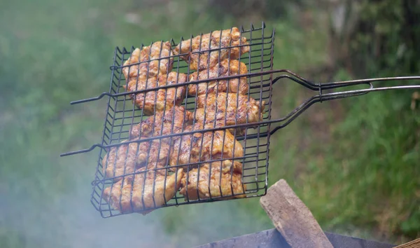 Freír Brochetas Pollo Parrilla Picnic Naturaleza Enfoque Selectivo —  Fotos de Stock