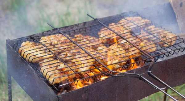 Friggere Spiedini Pollo Alla Griglia Picnic Nella Natura Focus Selettivo — Foto Stock