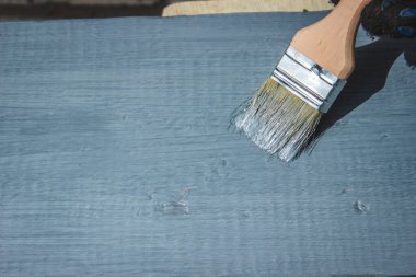 Ağacı griye boyayan fırçalı bir el. seçici odak