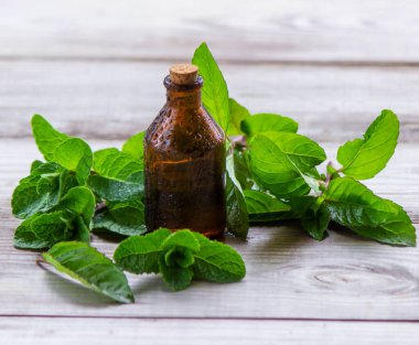 Küçük bir kavanoza nane özü. Seçici odak.