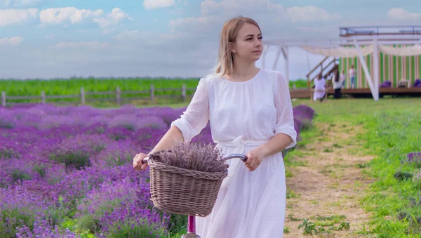 Kız Lavanta Tarlasında Dinleniyor Seçici Odak — Stok fotoğraf