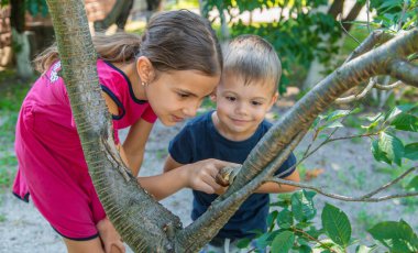 Çocuk salyangoz doğasına bakıyor. Seçici odaklanma. Hayvan..