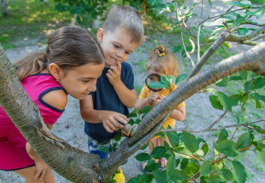 Çocuk salyangoz doğasına bakıyor. Seçici odaklanma. Hayvan..