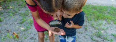 Çocuk salyangoz doğasına bakıyor. Seçici odaklanma. Hayvan..