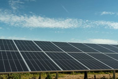 Yeşil enerji üreten güneş panelleri