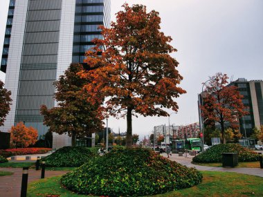 Madrid gökdelenleri İspanya 'nın en yüksek gökdelenleri.