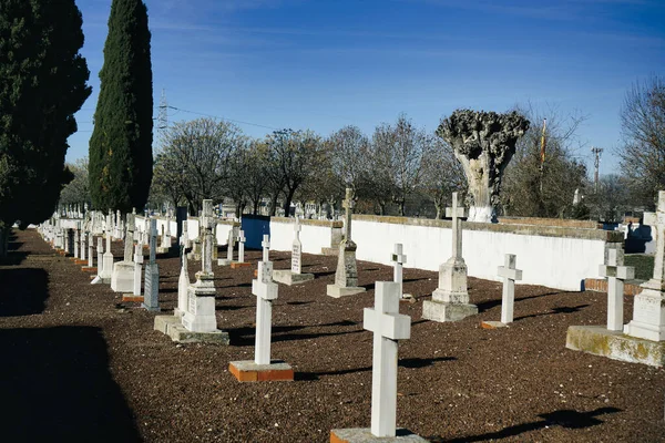 Jedním Největších Rozpaků Španělské Občanské Války Hřbitov Paracuellos Del Jarama — Stock fotografie