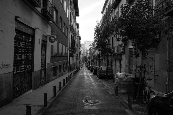 Paseo Por Centro — Stok fotoğraf