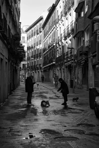 Paseo Por Centro — Foto de Stock