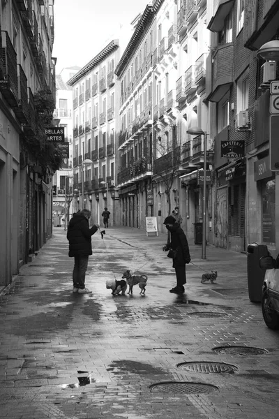 Paseo Por Centro — Foto de Stock