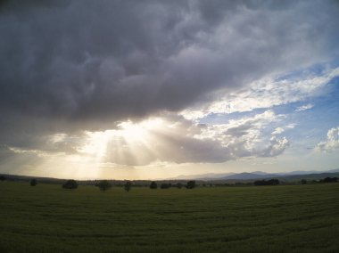 Gün batımında buğday tarlaları
