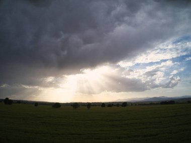 Gün batımında buğday tarlaları