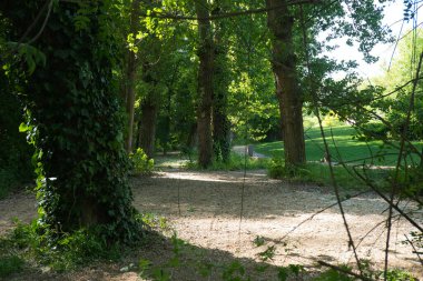 Segovia dünyanın en güzel şehri.