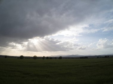 MADRID İSPANDA Buğday Tarlaları