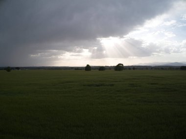 MADRID İSPANDA Buğday Tarlaları