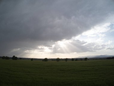 MADRID İSPANDA Buğday Tarlaları