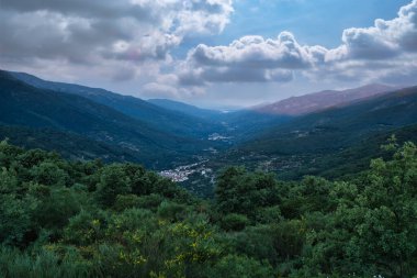 JERTE VALLEY, baharda hayret, JERTE Cherry 'den seçilen