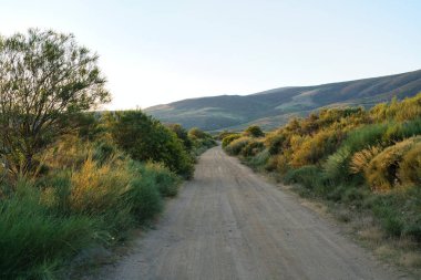 JERTE VALLEY, baharda hayret, JERTE Cherry 'den seçilen