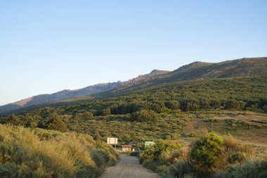 JERTE VALLEY, baharda hayret, JERTE Cherry 'den seçilen