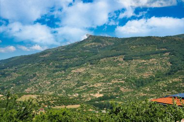 JERTE VALLEY, baharda hayret, JERTE Cherry 'den seçilen