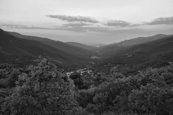 JERTE VALLEY, baharda hayret, JERTE Cherry 'den seçilen