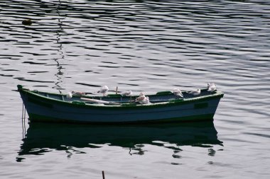 One of the most wonderful areas in Spain is Galicia